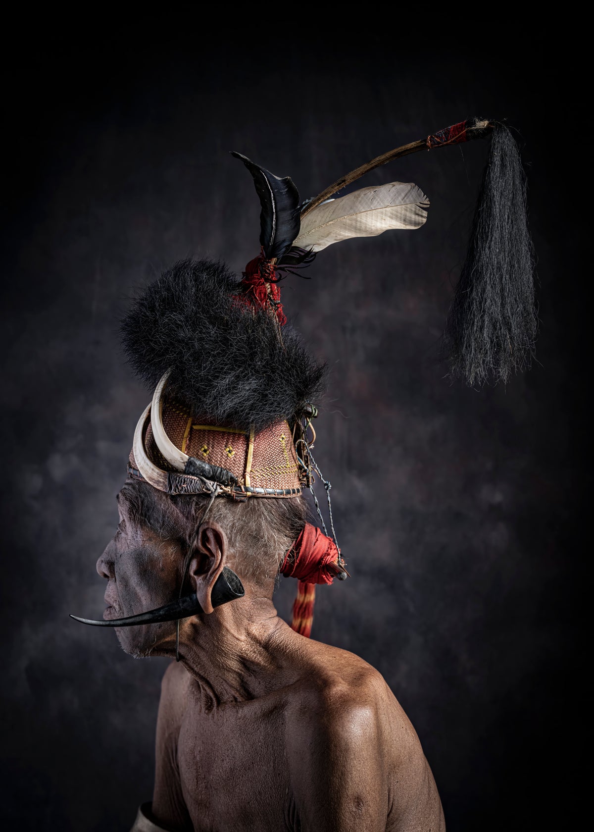 Echoes of the Warrior