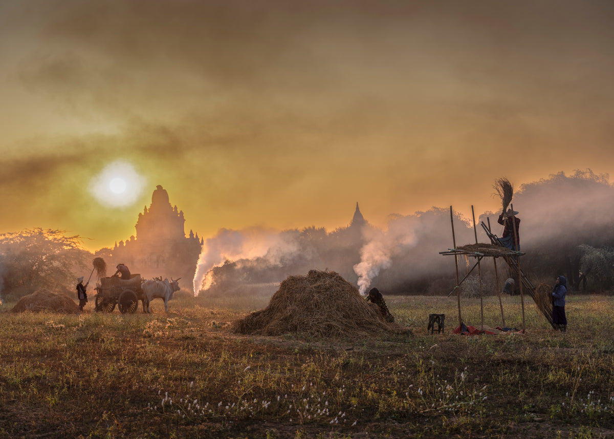 Between Temples and Earth